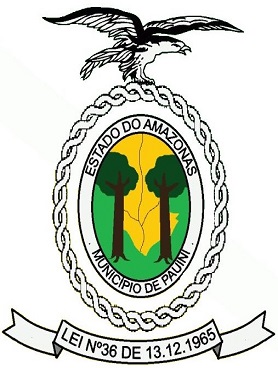 Pauini/AM Image