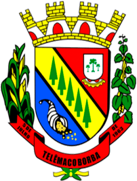 Telêmaco Borba/PR Image