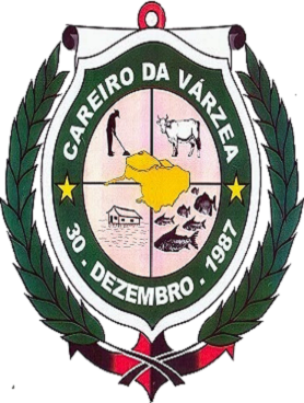 Careiro da Várzea/AM Image