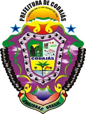 Codajás/AM Image