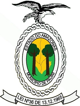 Pauini/AM Image