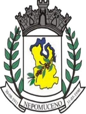 Nepomuceno/MG Image