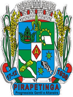 Pirapetinga/MG Image