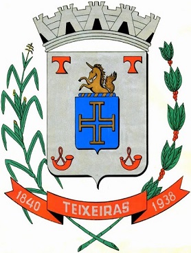 Teixeiras/MG Image
