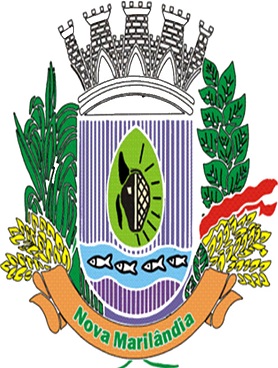 Nova Marilândia/MT Image