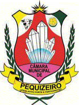 Pequizeiro/TO Image