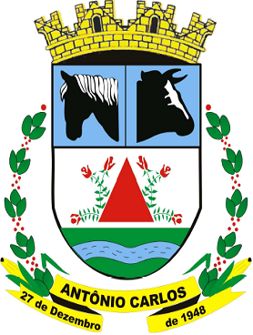 Antônio Carlos/MG Image