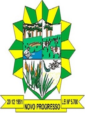 Novo Progresso/PA Image