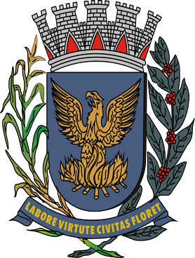 Campinas/SP Image