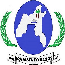 Boa Vista do Ramos/AM Image