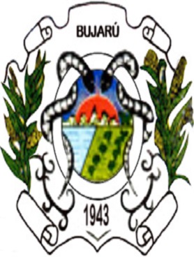 Bujaru/PA Image