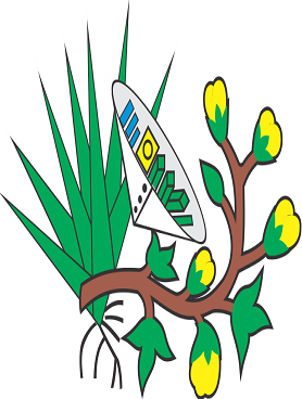 Picuí/PB Image