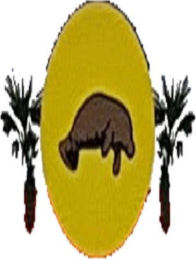 Cajueiro da Praia/PI Image