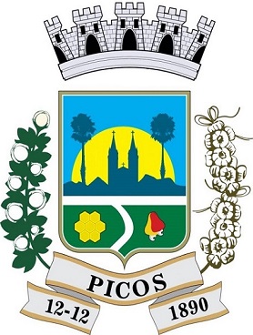 Picos/PI Image