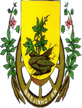 Brejinho/RN Image