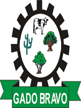 Gado Bravo/PB Image