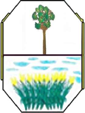 Buriti dos Lopes/PI Image