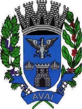 Avaí/SP Image