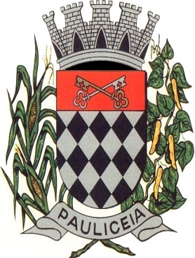 Paulicéia/SP Image