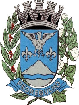 Pedregulho/SP Image