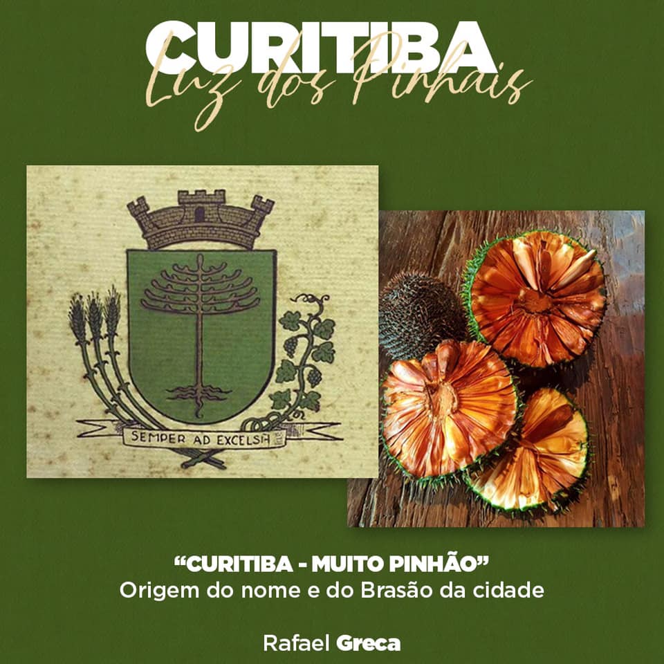 Curitiba, luz dos pinhais, 2016 Image